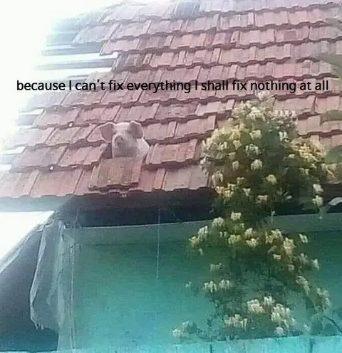 I Can't Fix Everything