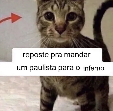 Gato mandando paulista ao inferno