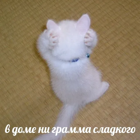 В доме ни грамма сладкого