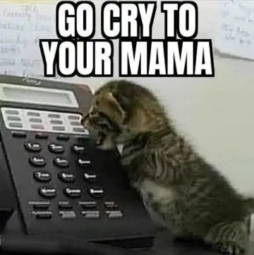 Go Cry to Your Mama Cat