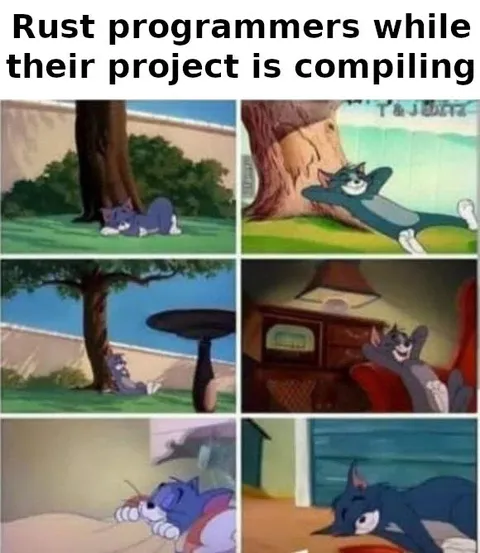 Rust Programmers Waiting