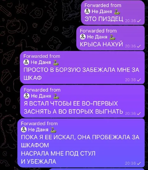 Крыса насрала под стул