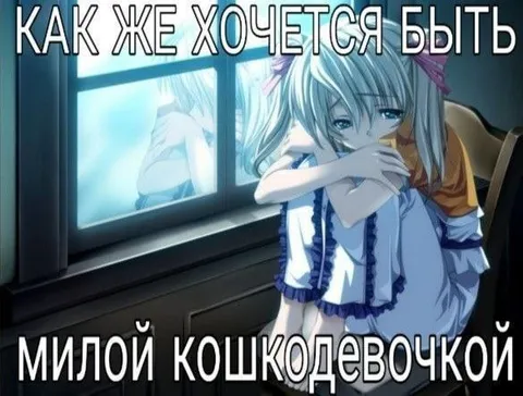 Милой кошкодевочкой