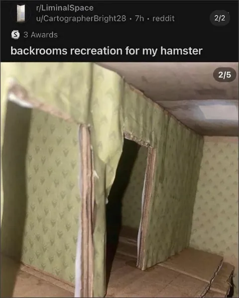 Backrooms Recreation for Hamster