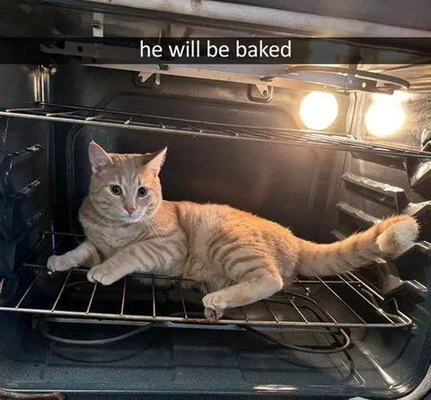 Кот в духовке