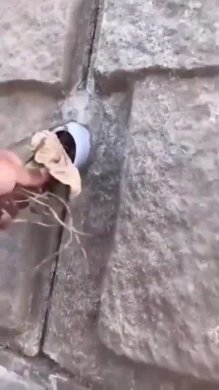 Хвост из стены в душе