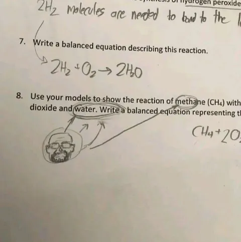 Chemistry Worksheet Gets a Skull