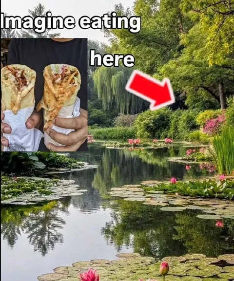 Imagine Eating Here