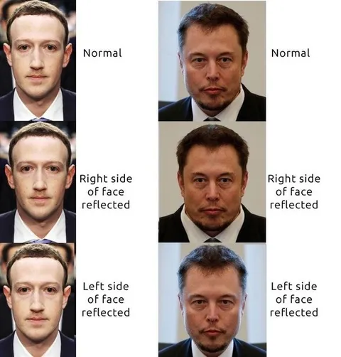 Normal and Reflected Faces