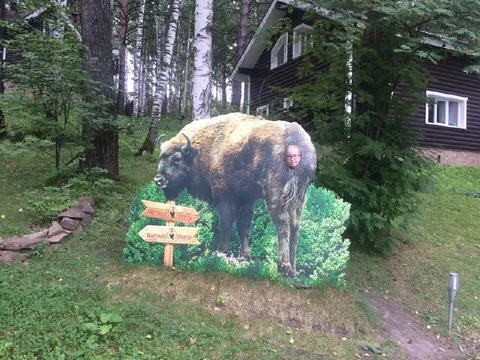 Мужчина прячется в бизоне