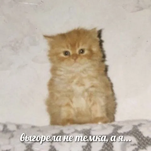 Выгорела не темка, а я