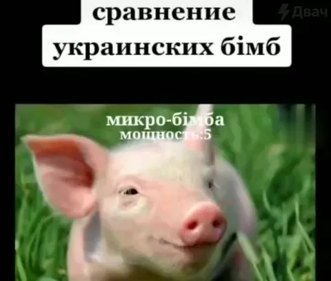 Сравнение украинских бімб