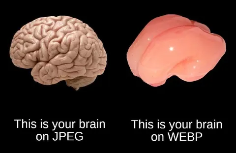 Your Brain on JPEG vs WEBP