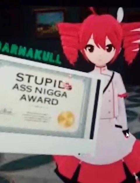 Stupid Ass Nigga Award