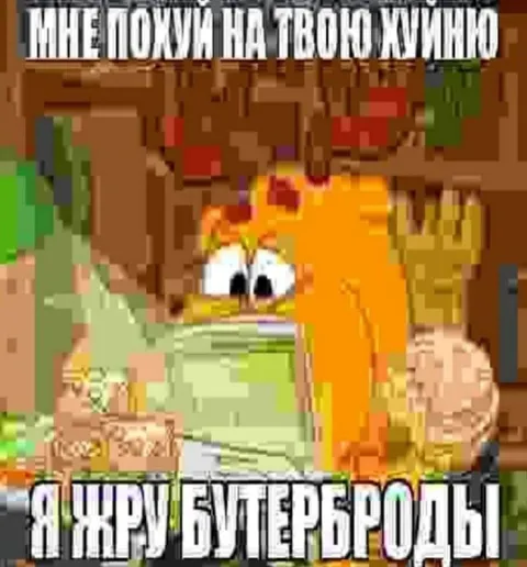 Мне похуй на твою жизнь