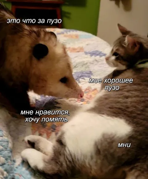Хочу помять хорошее пузо