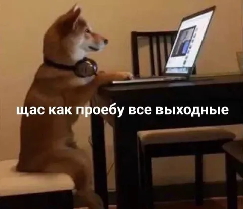 Щас как проебу все выходные