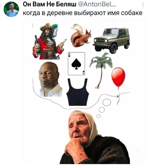 Когда выбирают имя собаке