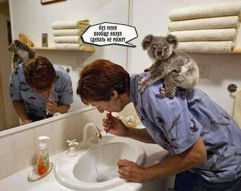Без меня вообще нихуя не может