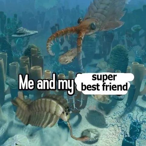 Me and My Super Best Friend