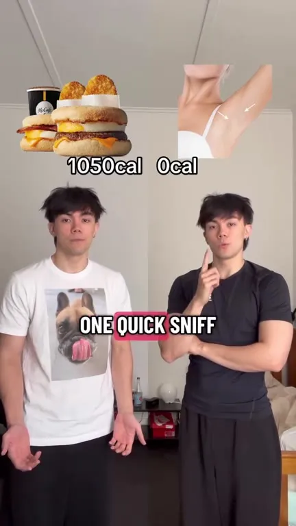 Sniffs Are Enough for Dinner