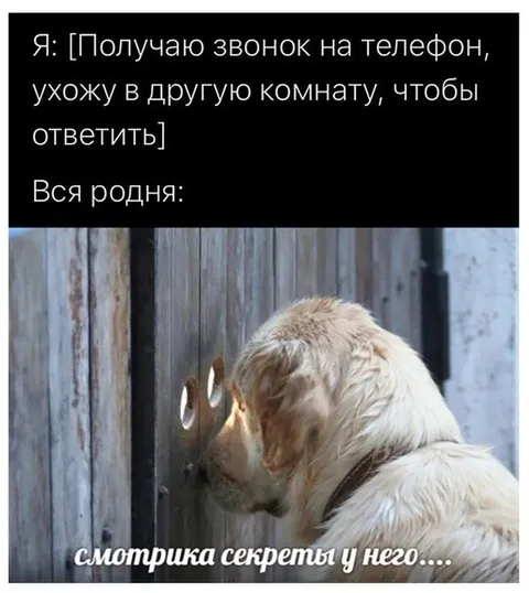 Вся родня смотрит в дверь