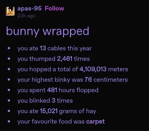 Bunny Wrapped Year in Review