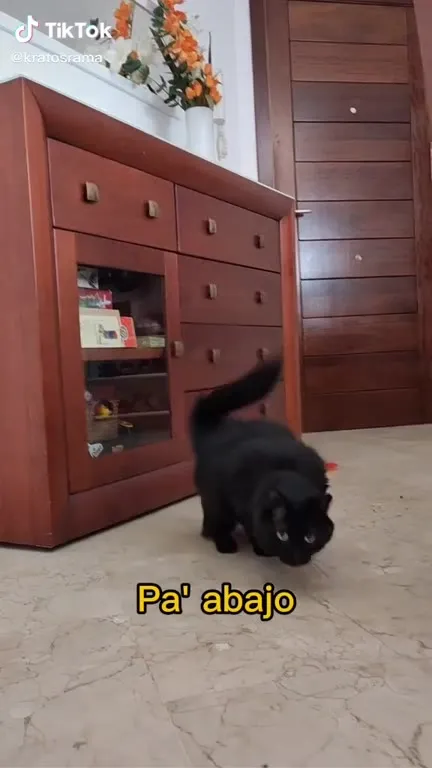 Pa' arriba y pa' abajo