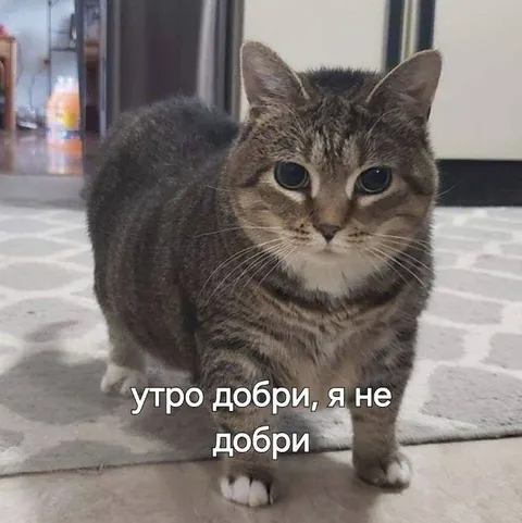 Утро добри, я не добри