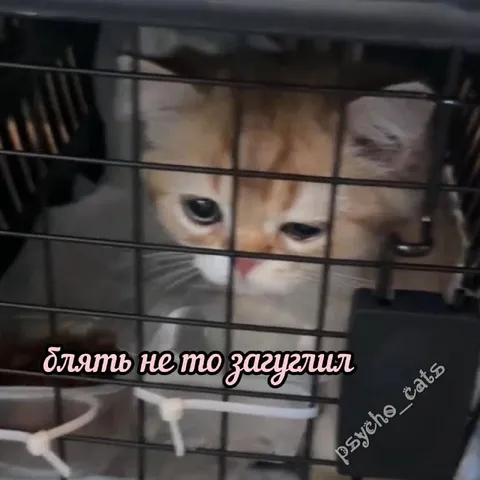 Блять, не то загрузил
