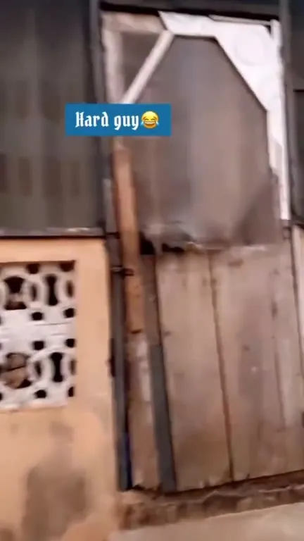 Hard Guy Room Reveal