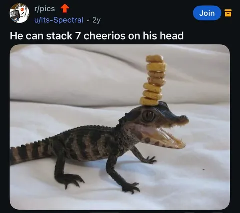 Crocodile Stacks Cheerios