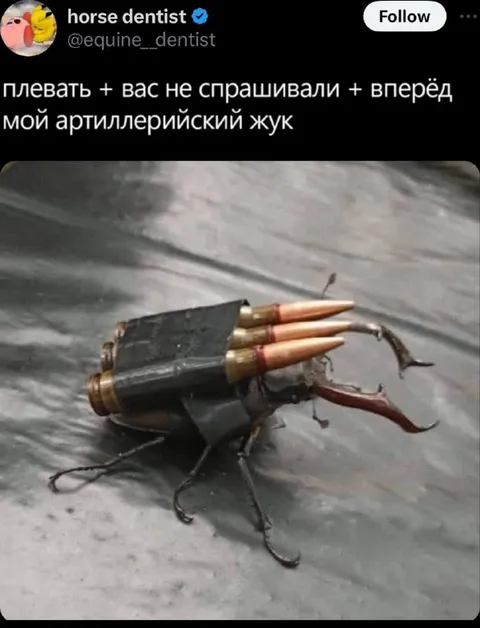 Мой артиллерийский жук
