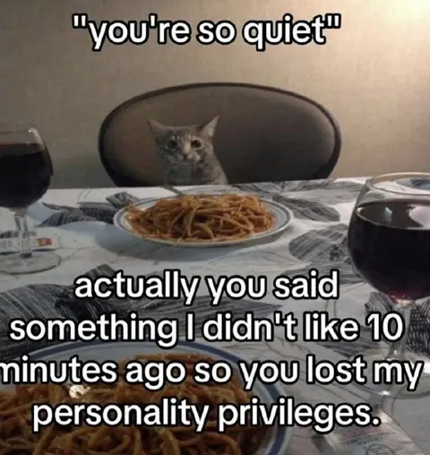 Cat Loses Personality Privileges