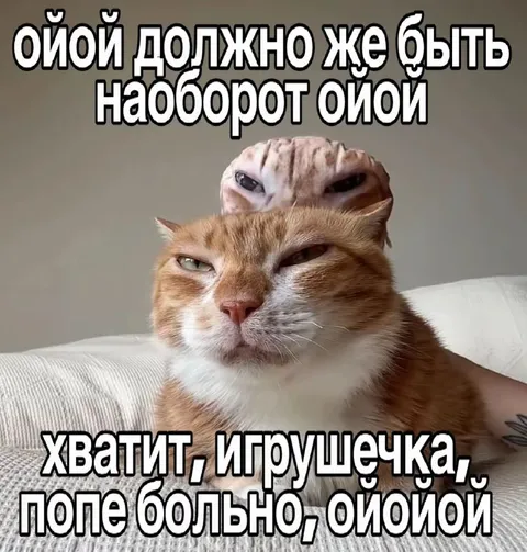 Коту больно от игрушечки