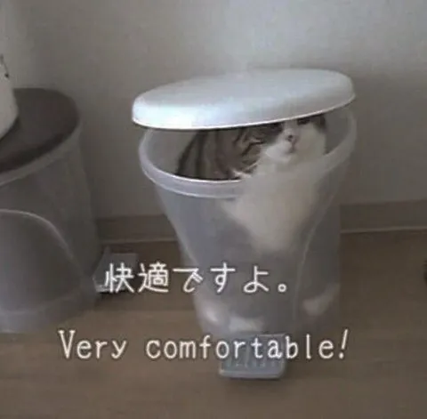 快適すぎる猫