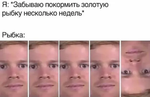 Забыл покормить золотую рыбку