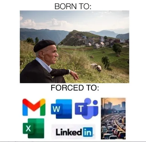 Born Free, Forced Into Office Life