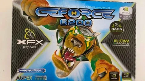 XFX GeForce 6200 Gaming Graphics Card