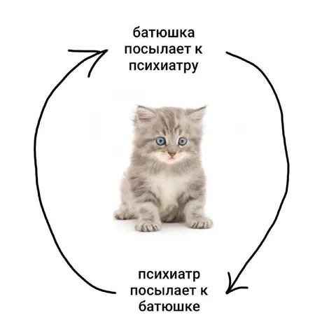 Батюшка и психиатр по кругу