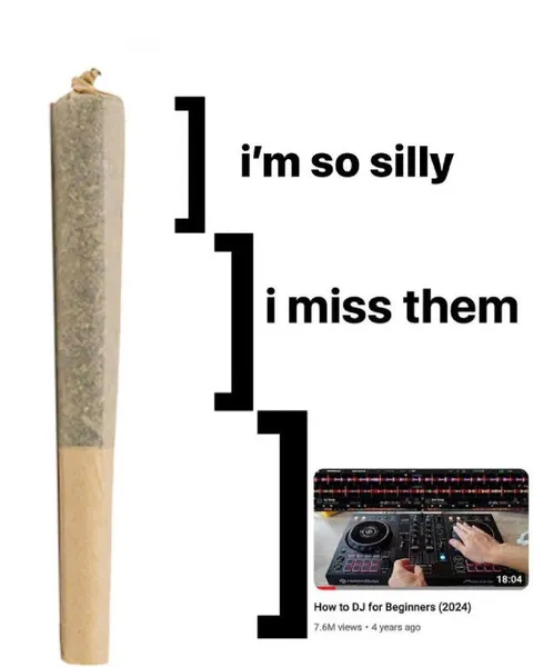 I Miss Them DJ Tutorial Meme