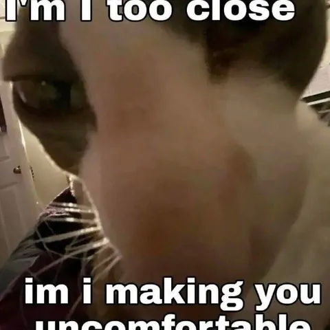 Cat Getting Too Close