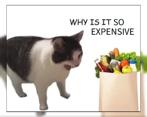 Why Is It So Expensive