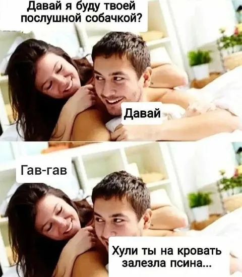 Послушная собачка на кровати