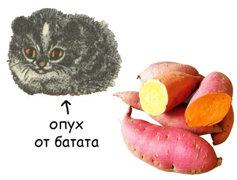 Опух от батата