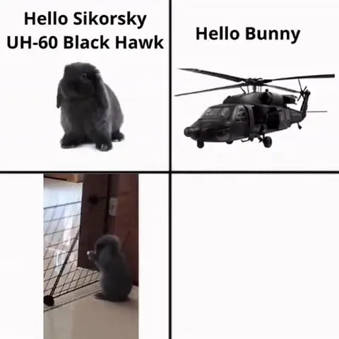 Hello Sikorsky, Hello Bunny