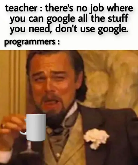Programmers Use Google
