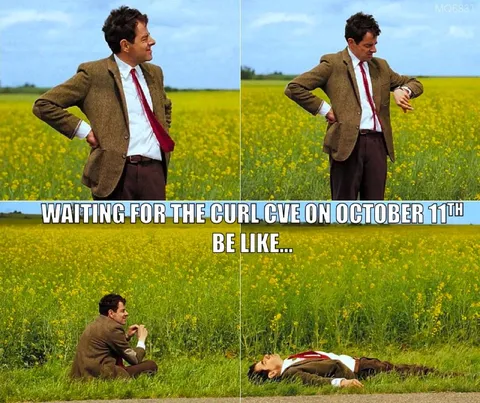 Waiting for the cURL CVE