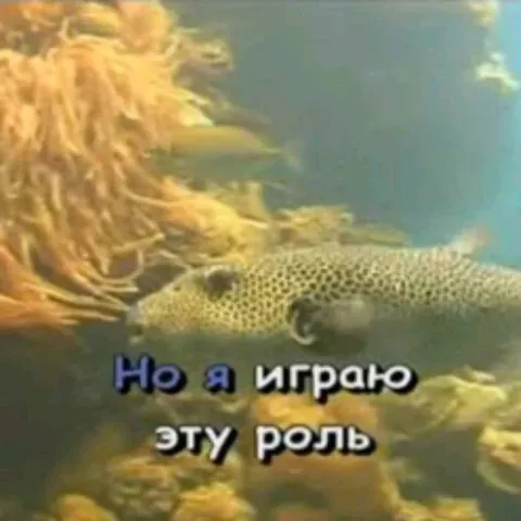 Но я играю эту роль