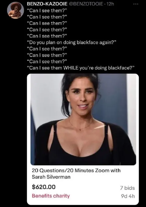 Sarah Silverman Blackface Auction